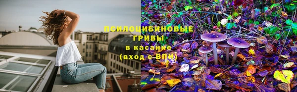 jwh Алзамай