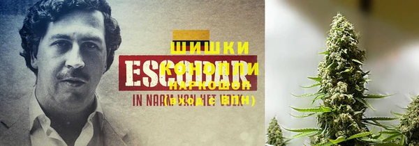 jwh Алзамай