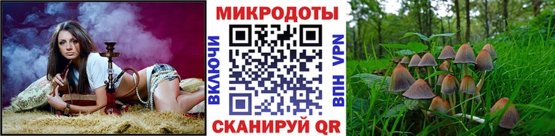 Галлюциногенные грибы прущие грибы ОМГ ОМГ как зайти Новоуральск